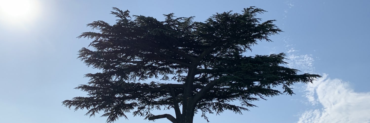 jaylew333's profile banner image