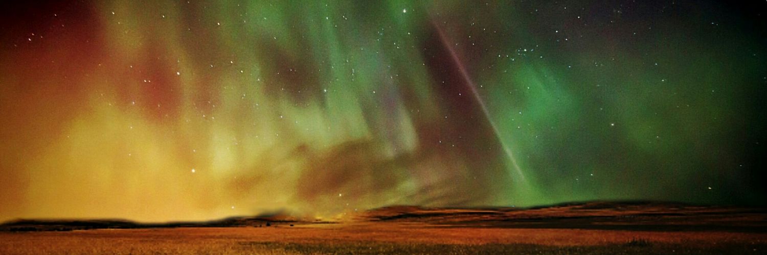 chub_bearro's profile banner image