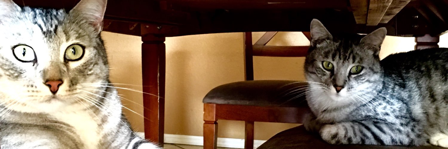 EmzzXX banner