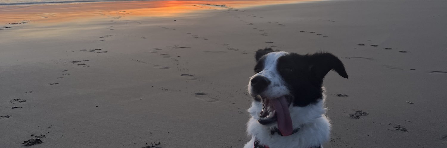 caseymatebell's profile banner image