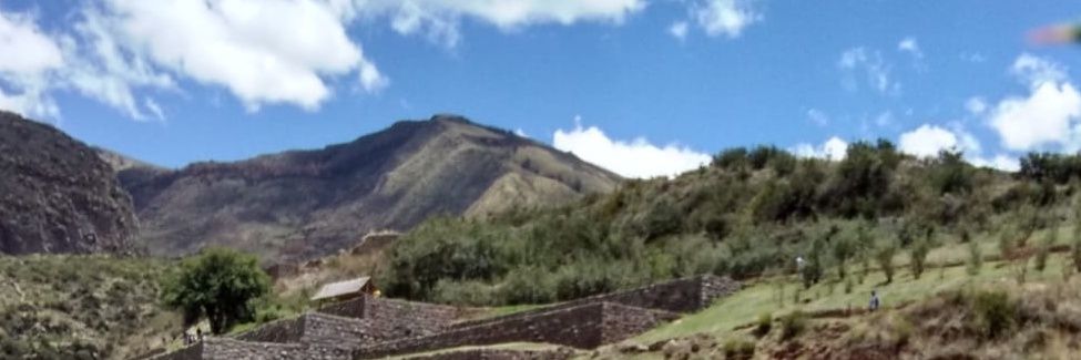 ines_zevallos's profile banner image