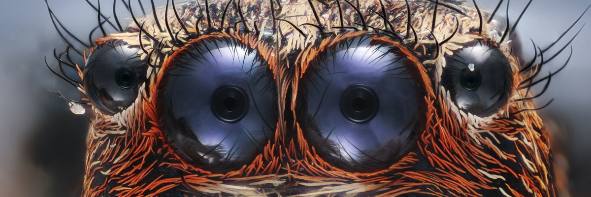 rutters2's profile banner image