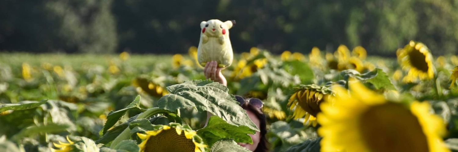 BumbleBeanBean's profile banner image