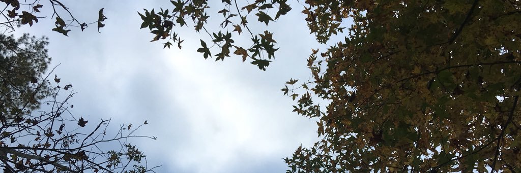 tuckytaylor's profile banner image