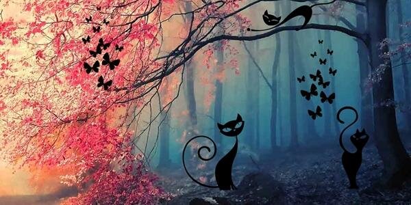 FB_Isabel's profile banner image
