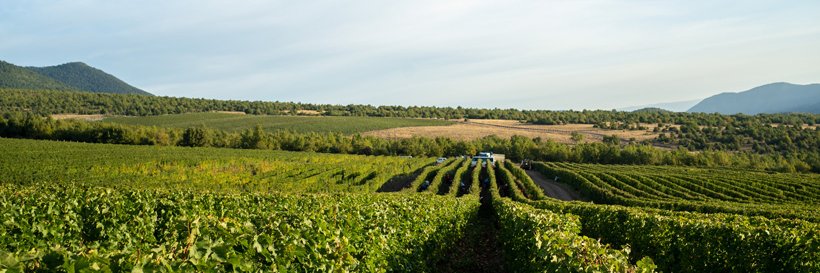 CostaLazaridi's profile banner image