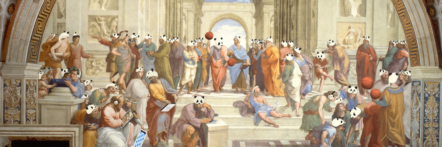 Steo Le Panda banner