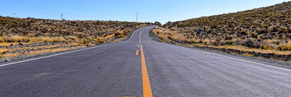 ѕκєℓє ωοℓƒ 🤠💪⚽ banner