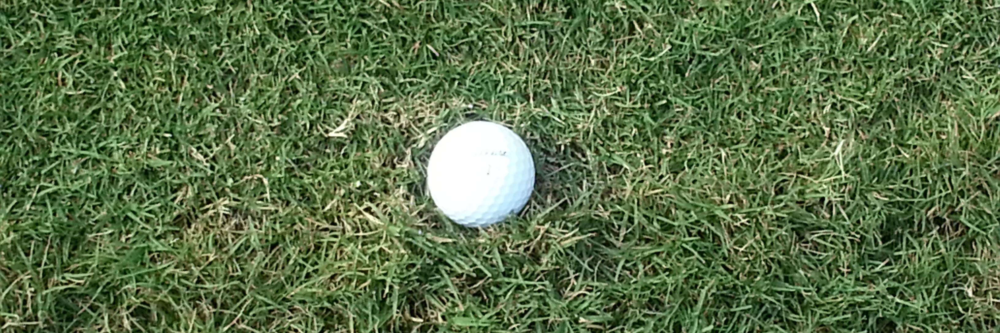 EsimmonsGolf_A's profile banner image