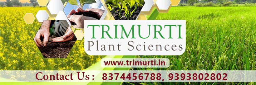 TrimurtiSeeds's profile banner image