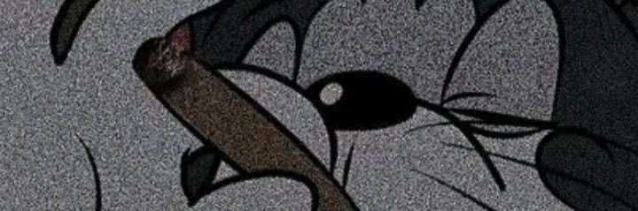 Josue Fadul banner