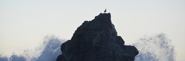 ProfEdwardsNZ Profile Banner