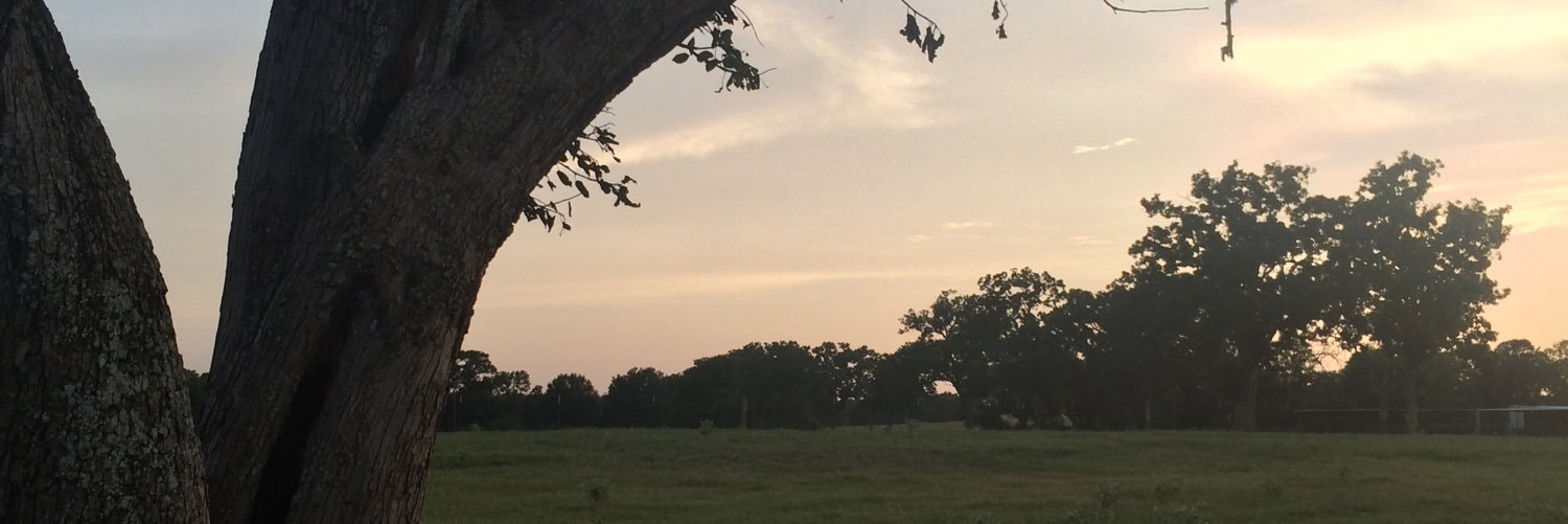 adelaidesnell's profile banner image
