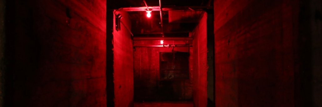 Cam McDonald (shyhunter) banner