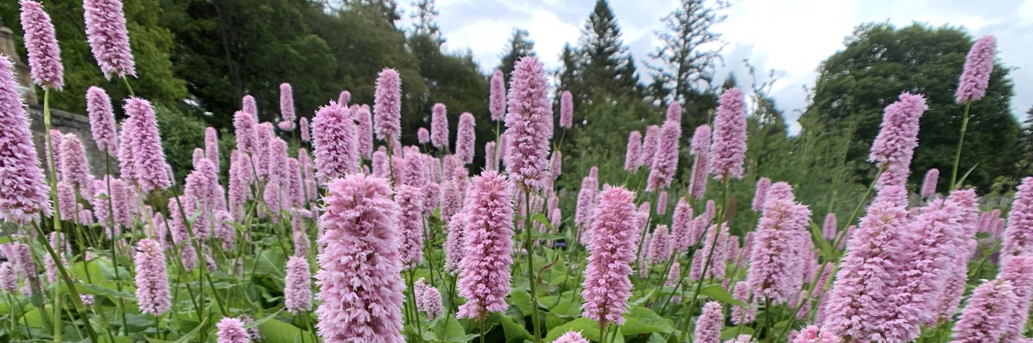 Margaret Julian banner