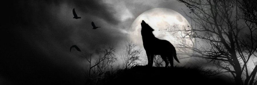 SANDRAGVNN's profile banner image