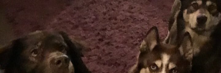 RickiTurnbull's profile banner image