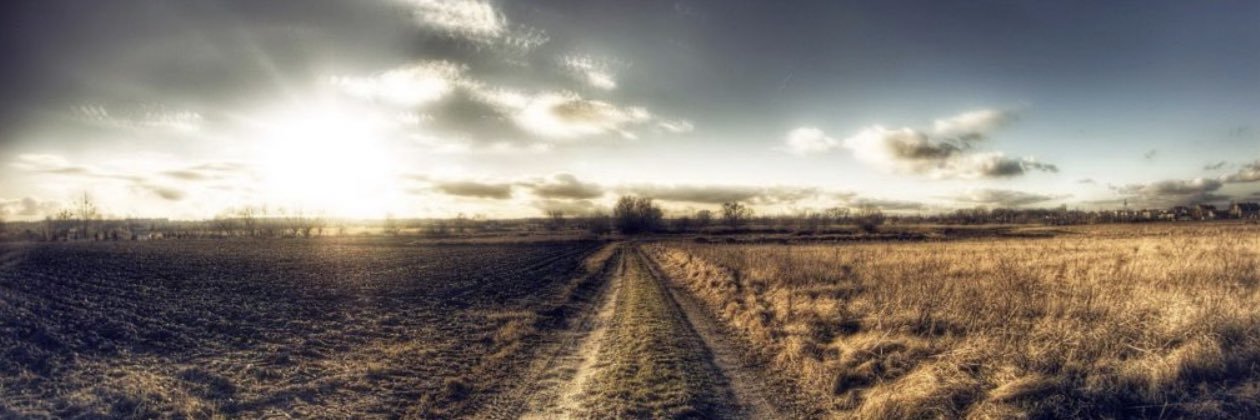 dylanMwolfe's profile banner image