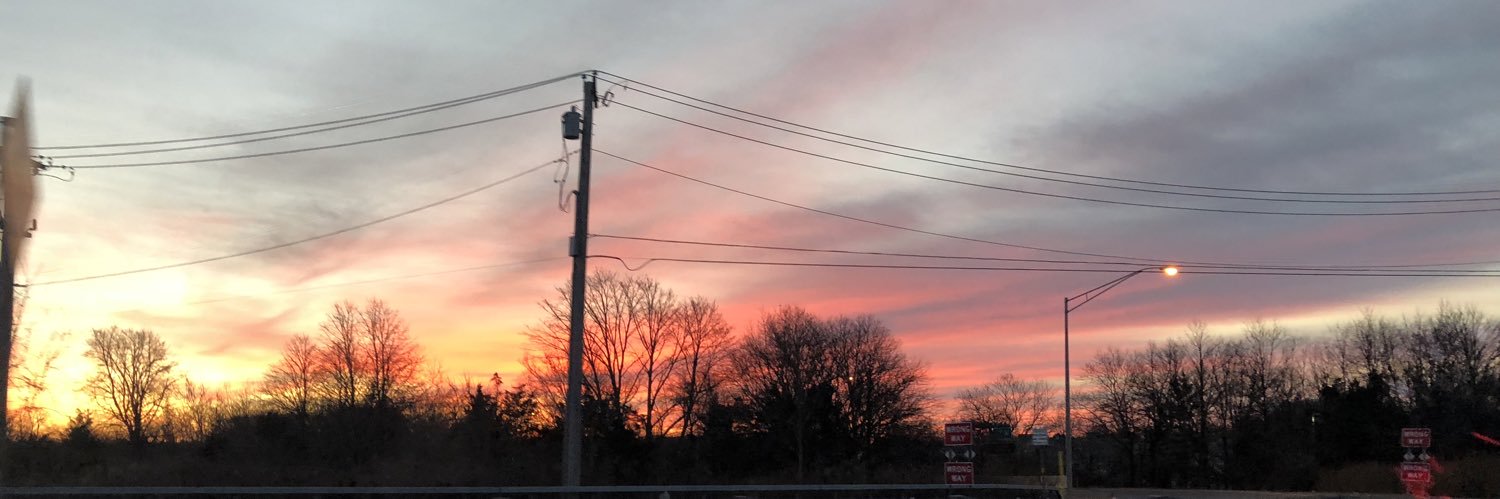 vwalkerreads's profile banner image