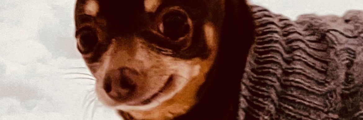 garsok121's profile banner image