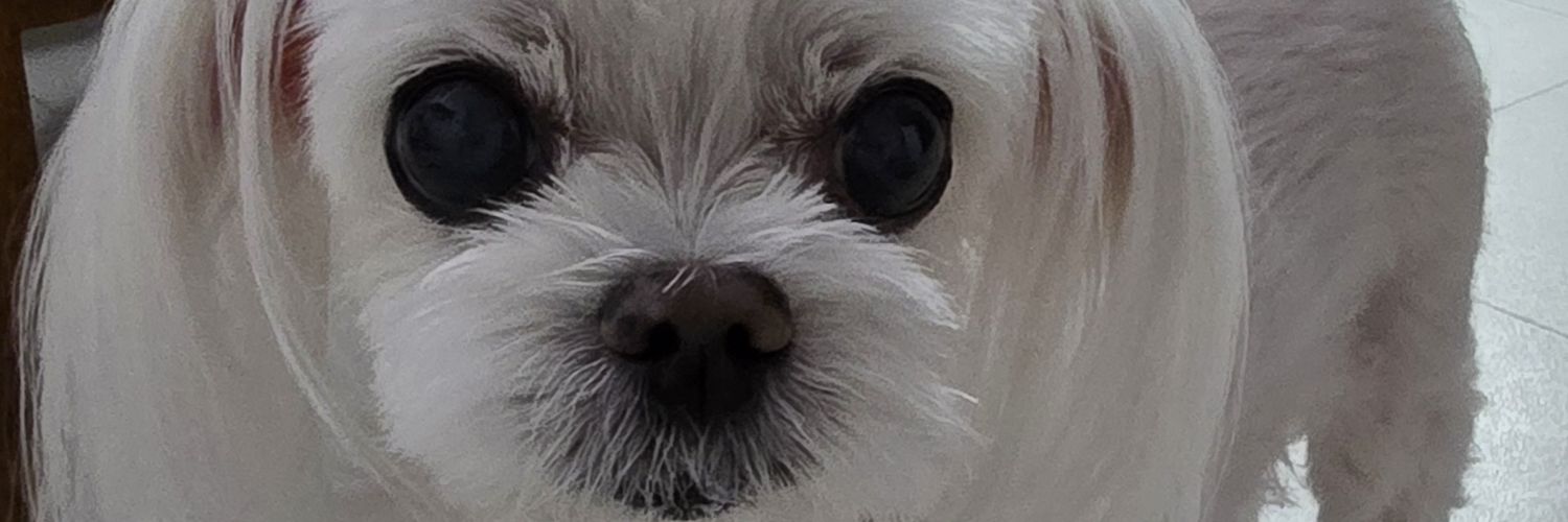 zziuy15's profile banner image