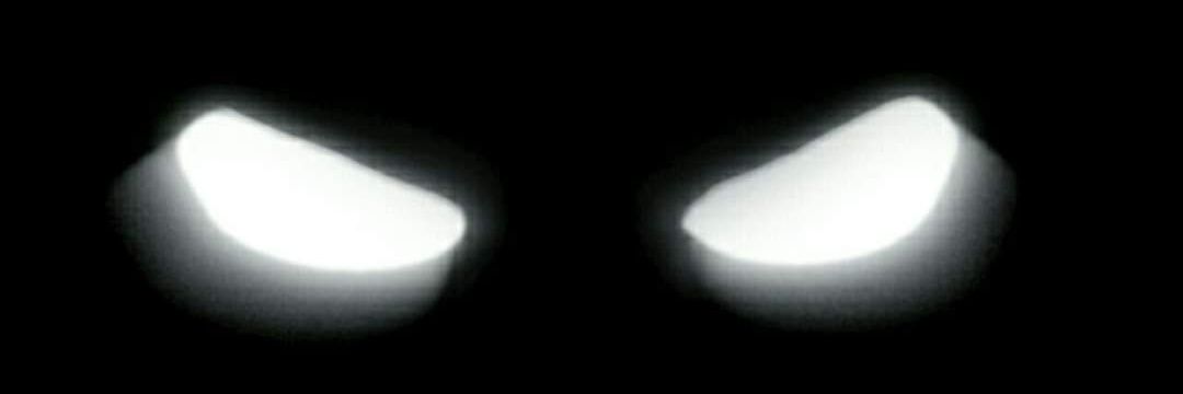 idwtjk's profile banner image