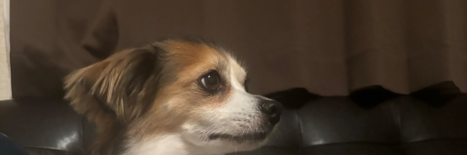 yuki_cocococo's profile banner image