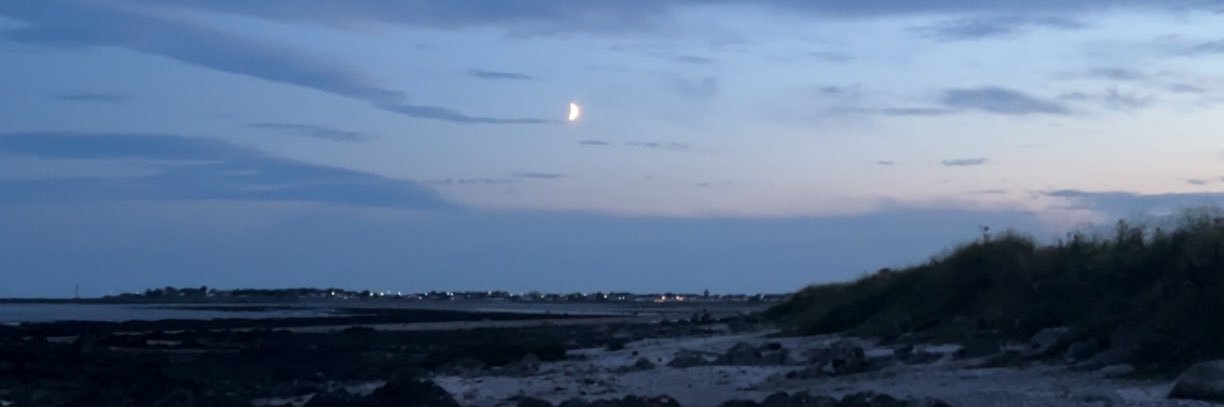 AlanahGough's profile banner image