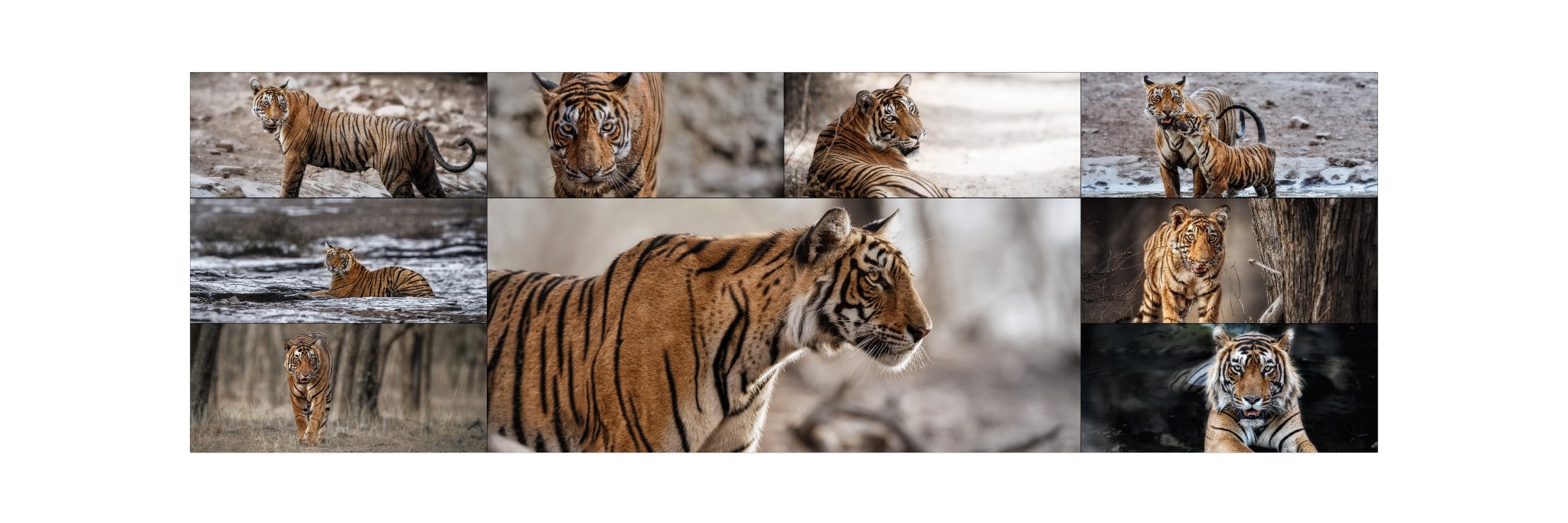 Vladimír Čech ml. banner