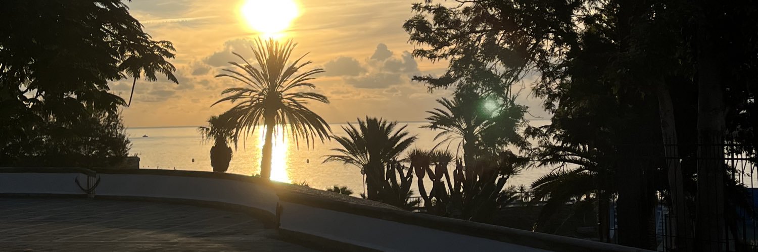 Tutu Domínguez Veracoechea banner