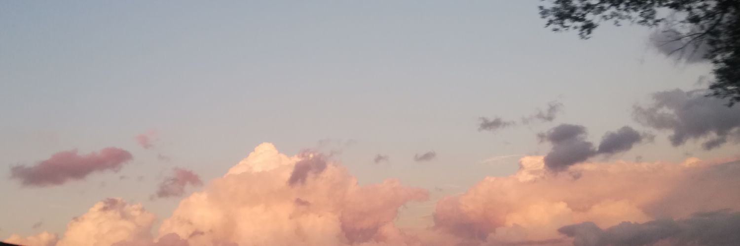 juniipeer's profile banner image