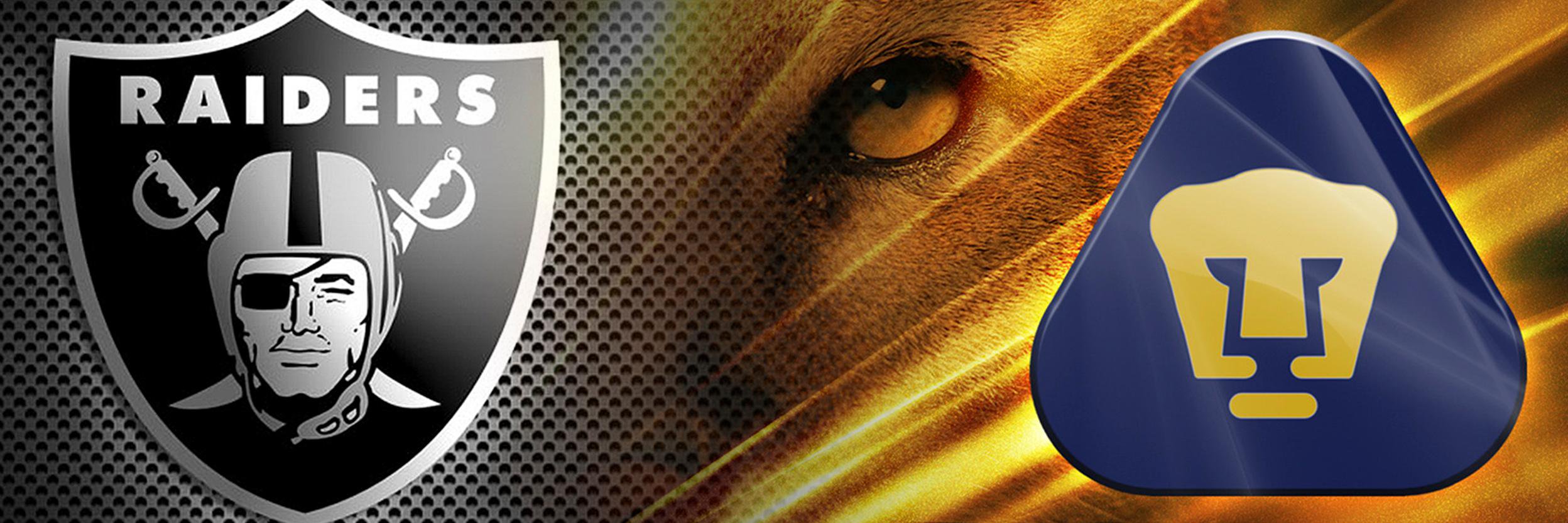DMUniverse09's profile banner image