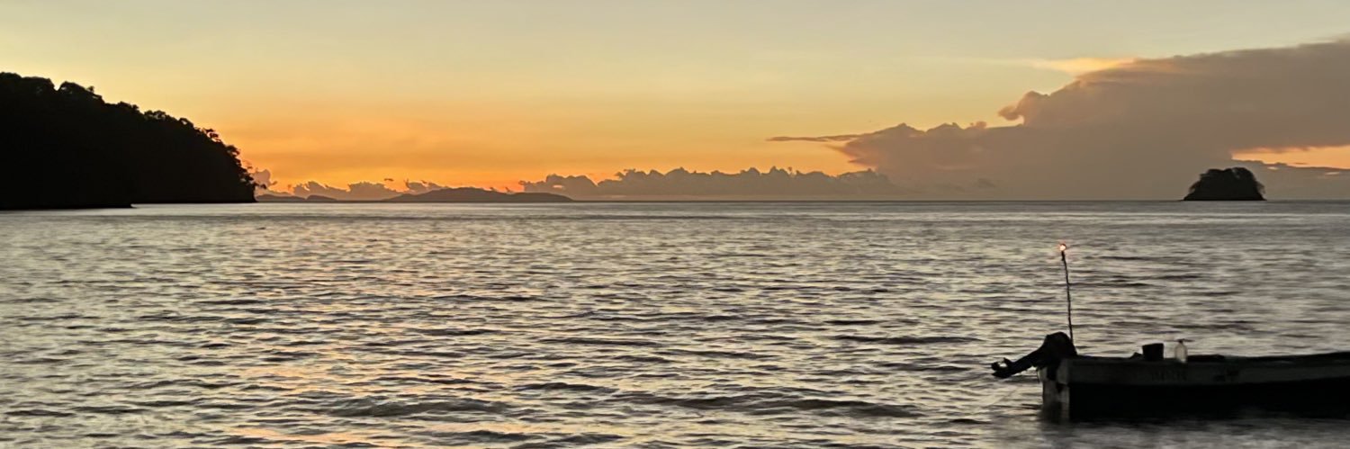 fonchi__'s profile banner image