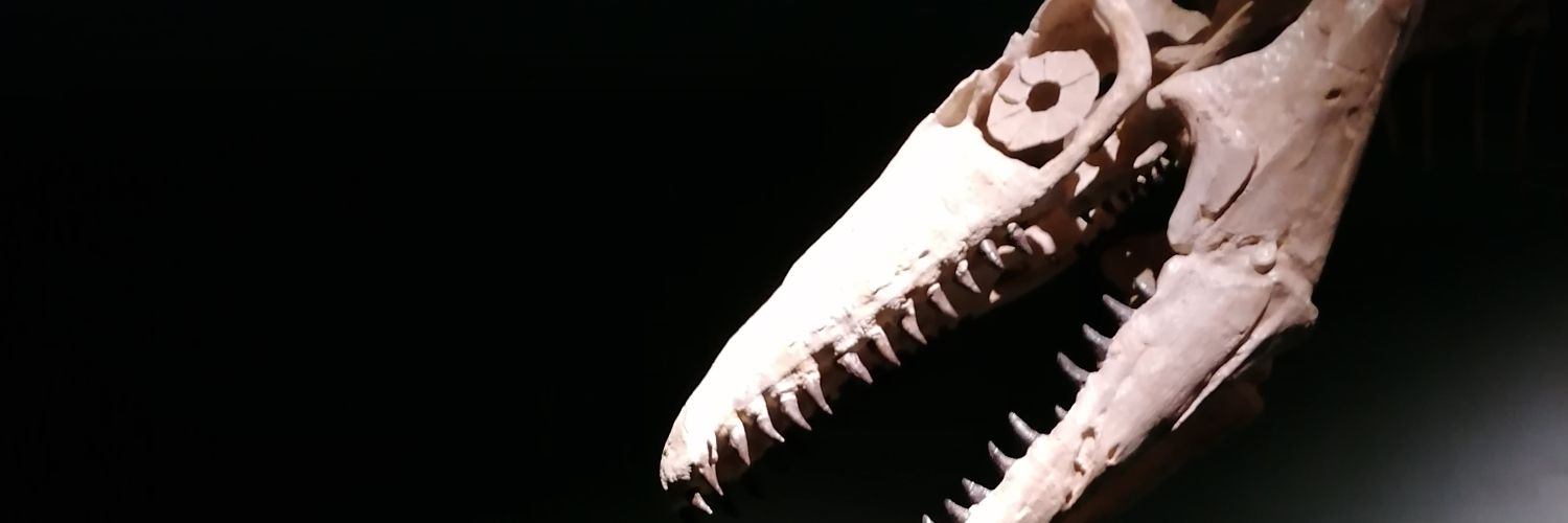 LameraFlorence's profile banner image
