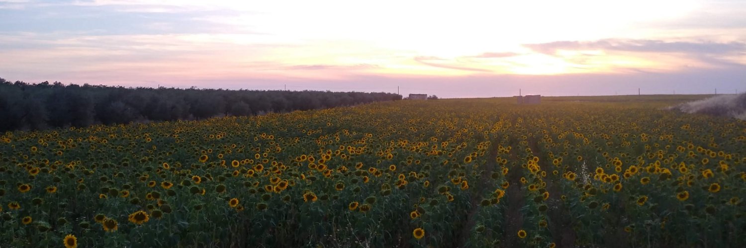 josemarigl's profile banner image