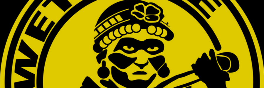 WetruweMapuche's profile banner image