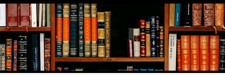 42443643d91c438's profile banner image