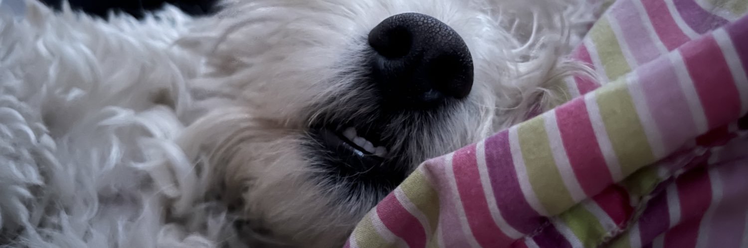 marianaTbCm's profile banner image