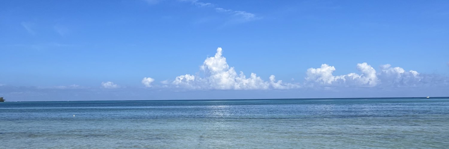 ZariaDickson's profile banner image