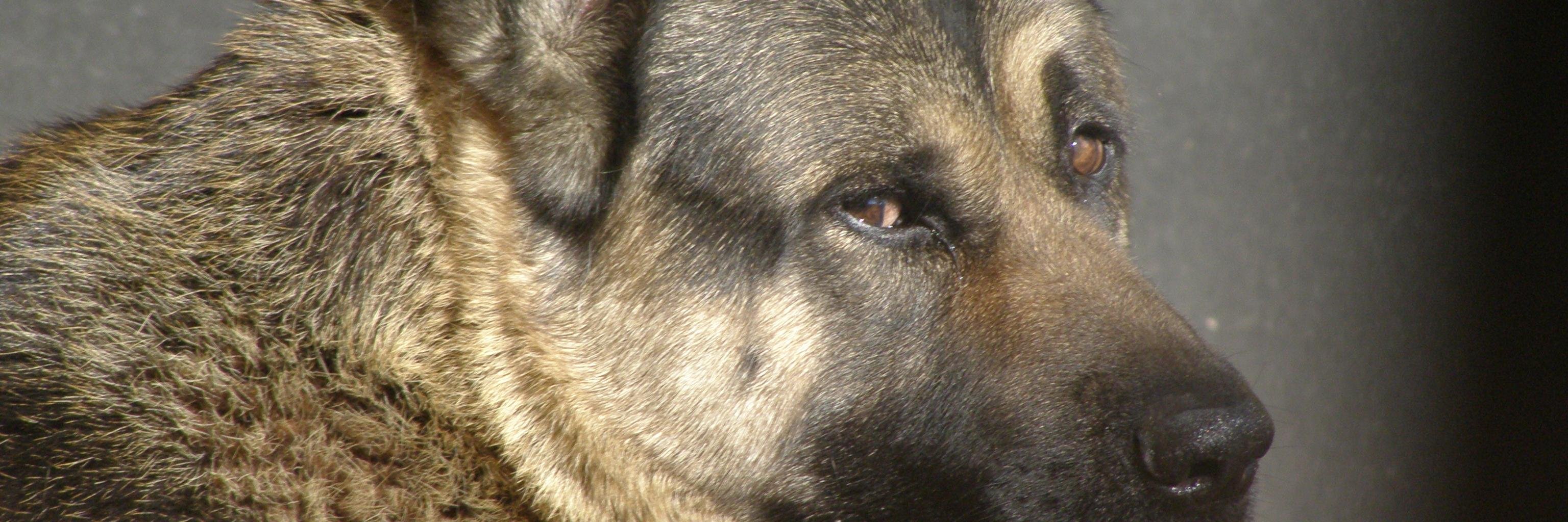 DavidGoRe25's profile banner image
