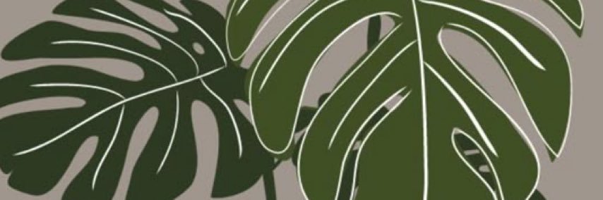 Lisaas_view's profile banner image