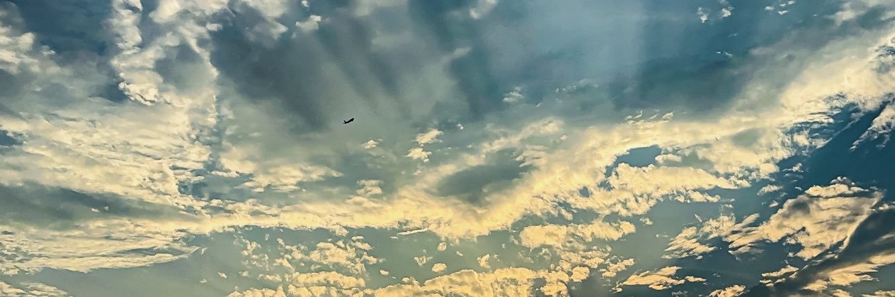 albasuarez30's profile banner image