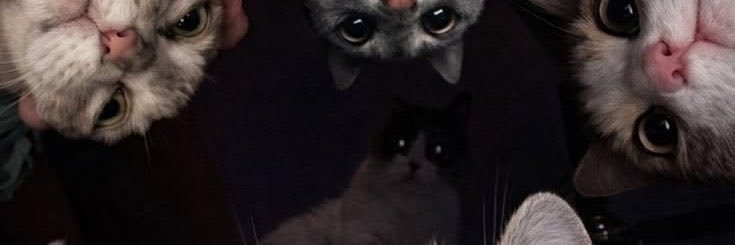 ltccrvlh's profile banner image