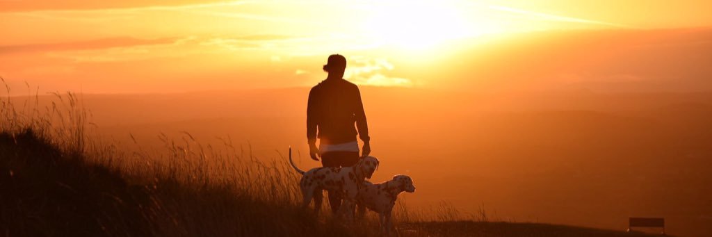 Callum Braley banner