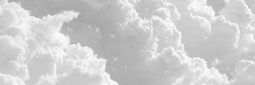 noemiefc's profile banner image
