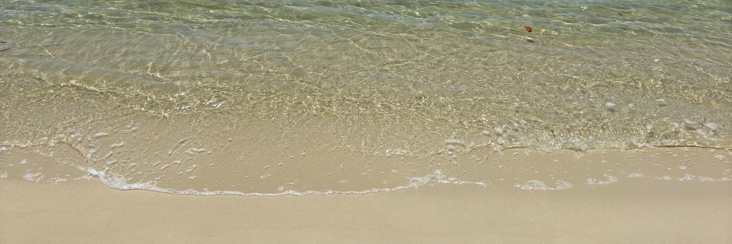 Julie Bogen (she/her)'s banner