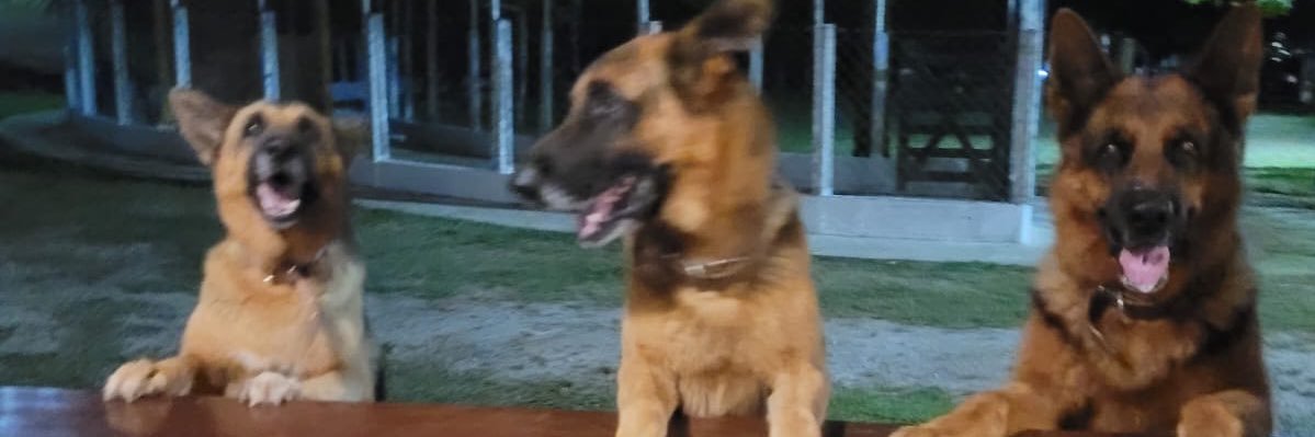 matheusgomessf's profile banner image