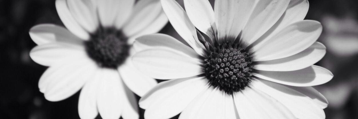 Twinstagram_15's profile banner image