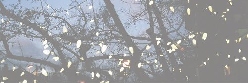 Teri_Noakes's profile banner image