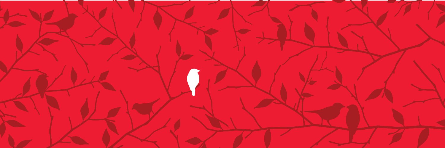 LilRedBirds's profile banner image